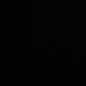 Meet your Posher, Maddy